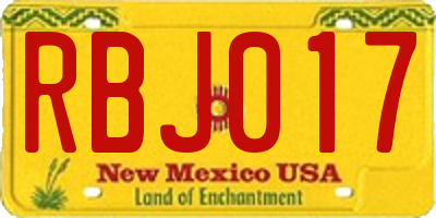 NM license plate RBJ017