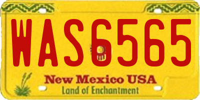 NM license plate WAS6565