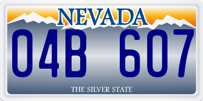 NV license plate 04B607