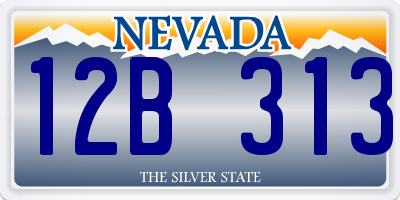 NV license plate 12B313