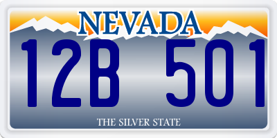 NV license plate 12B501