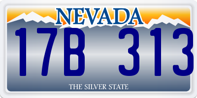 NV license plate 17B313
