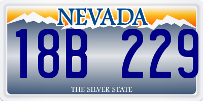 NV license plate 18B229