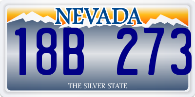 NV license plate 18B273