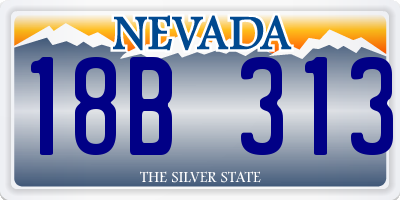 NV license plate 18B313