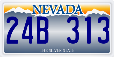 NV license plate 24B313