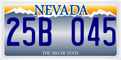 NV license plate 25B045