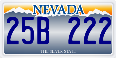 NV license plate 25B222