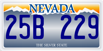 NV license plate 25B229