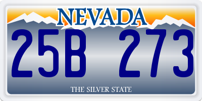 NV license plate 25B273