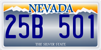 NV license plate 25B501