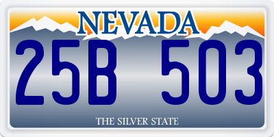 NV license plate 25B503