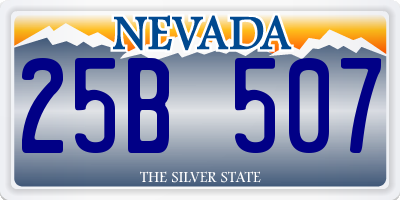 NV license plate 25B507