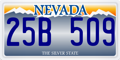 NV license plate 25B509