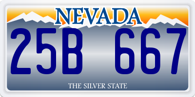 NV license plate 25B667