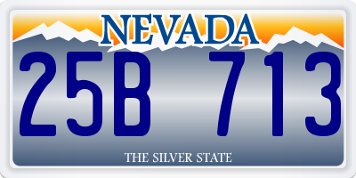 NV license plate 25B713