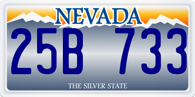 NV license plate 25B733