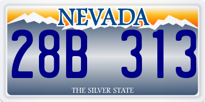NV license plate 28B313