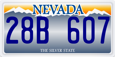 NV license plate 28B607