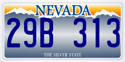 NV license plate 29B313