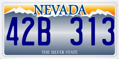 NV license plate 42B313