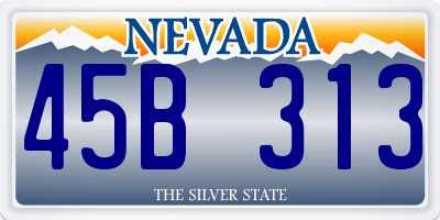NV license plate 45B313
