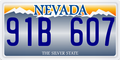 NV license plate 91B607