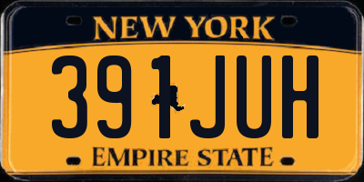 NY license plate 391JUH