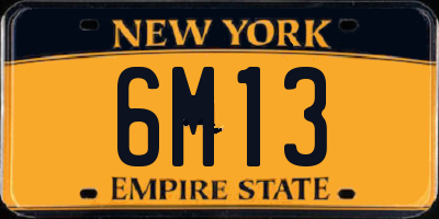 NY license plate 6M13