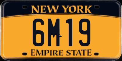 NY license plate 6M19