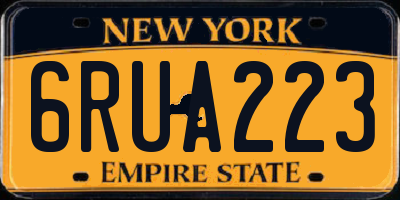 NY license plate 6RUA223