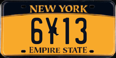 NY license plate 6Y13