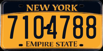 NY license plate 7104788