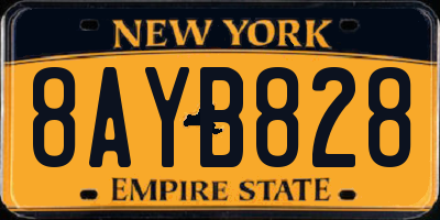 NY license plate 8AYB828