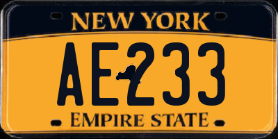 NY license plate AE233