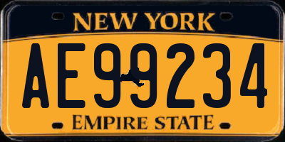 NY license plate AE99234