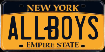 NY license plate ALLBOYS