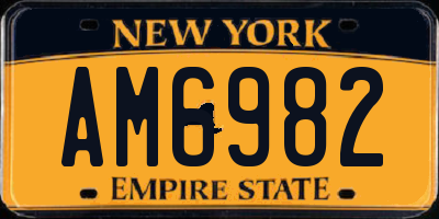 NY license plate AM6982