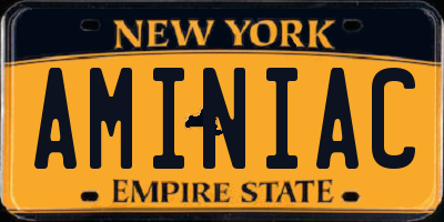 NY license plate AMINIAC