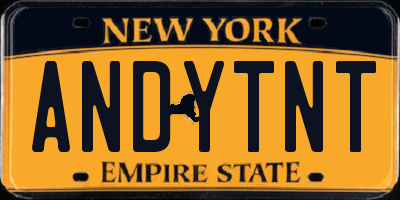 NY license plate ANDYTNT