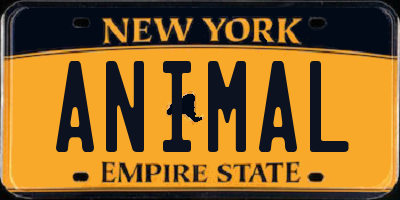 NY license plate ANIMAL