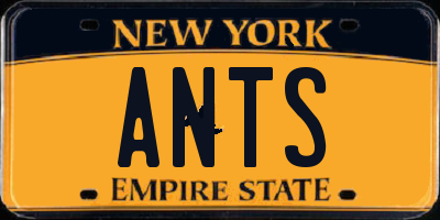 NY license plate ANTS