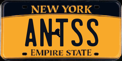 NY license plate ANTSS