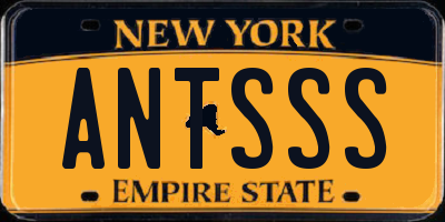 NY license plate ANTSSS