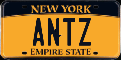 NY license plate ANTZ