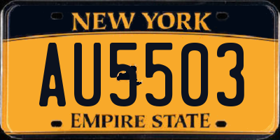 NY license plate AU5503