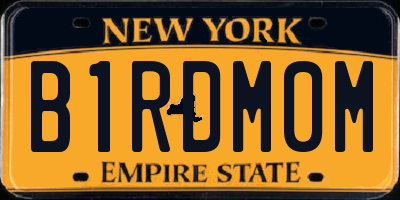 NY license plate B1RDM0M