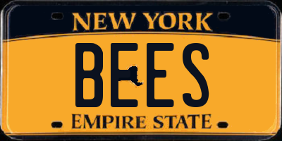 NY license plate BEES