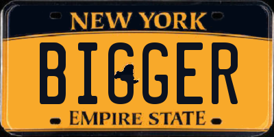 NY license plate BIGGER