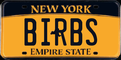 NY license plate BIRBS